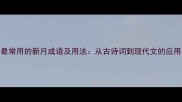 10个最常用的新月成语及用法从古诗词到现代文的应用指南