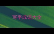 写字成语大全