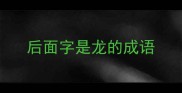 后面字是龙的成语