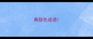 黄颜色成语