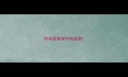 形容受到保护的成语